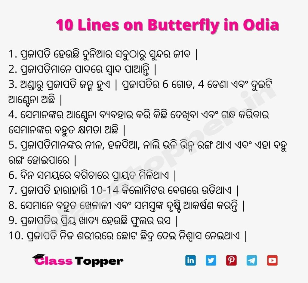 10 Lines on Butterfly in Odia