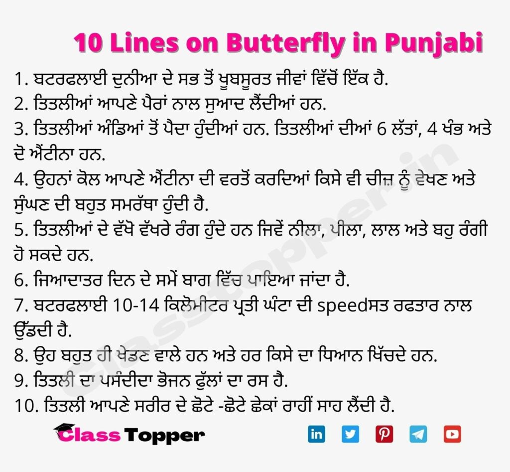 10 Lines on Butterfly in Punjabi