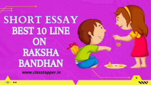 10 Line on Raksha Bandhan