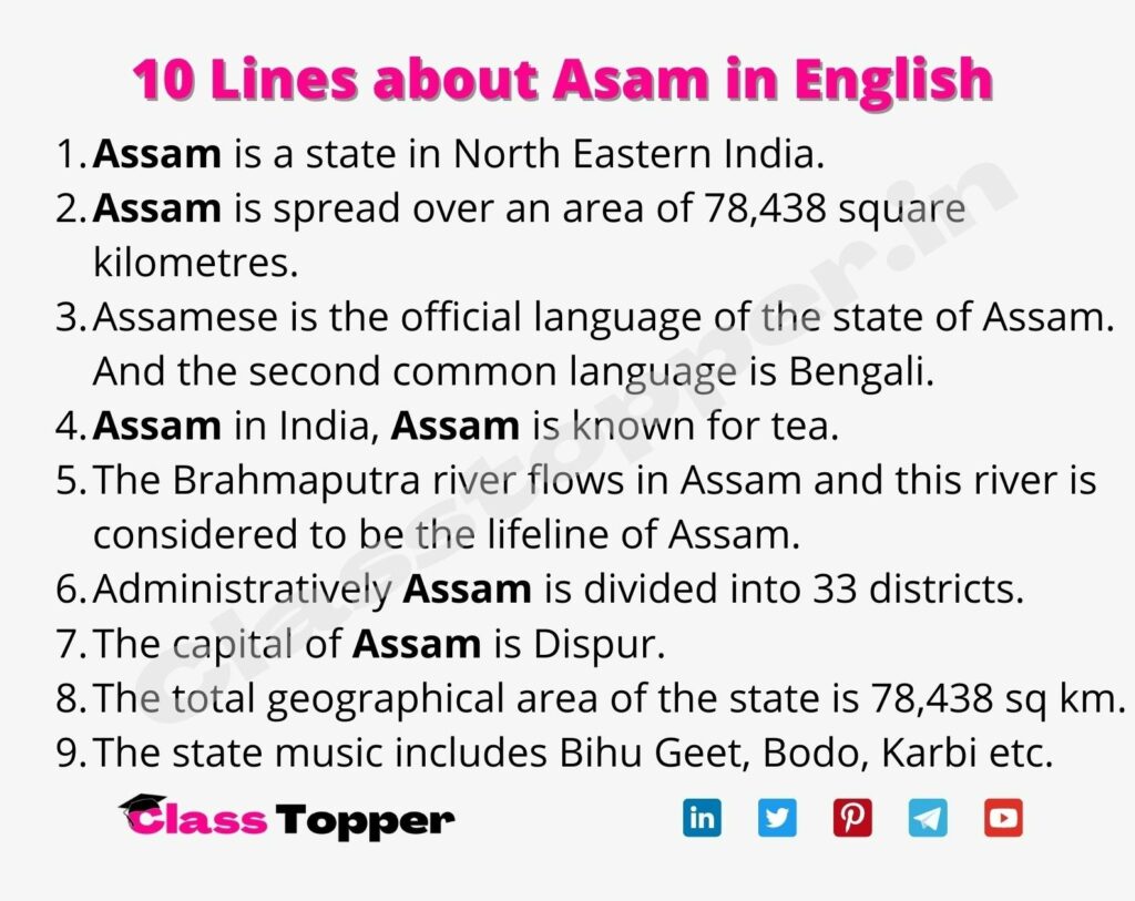 10 Lines about Asam in English