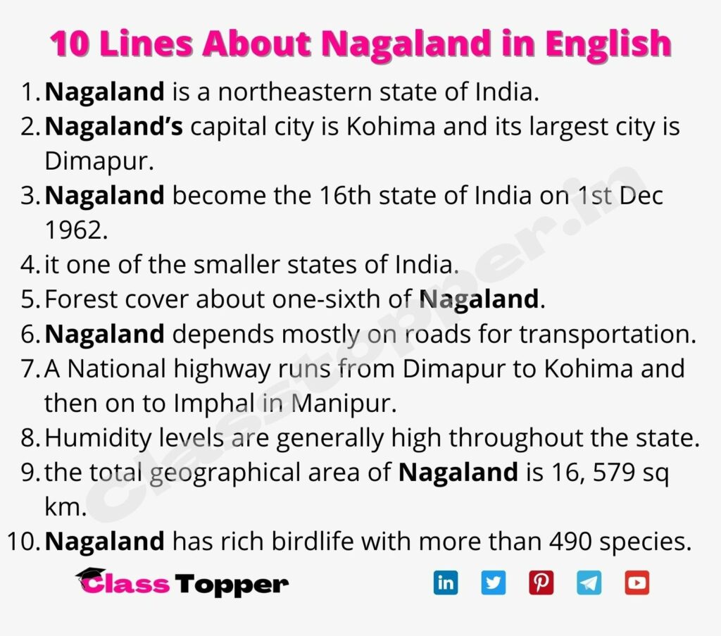 10 Lines About Nagaland in English