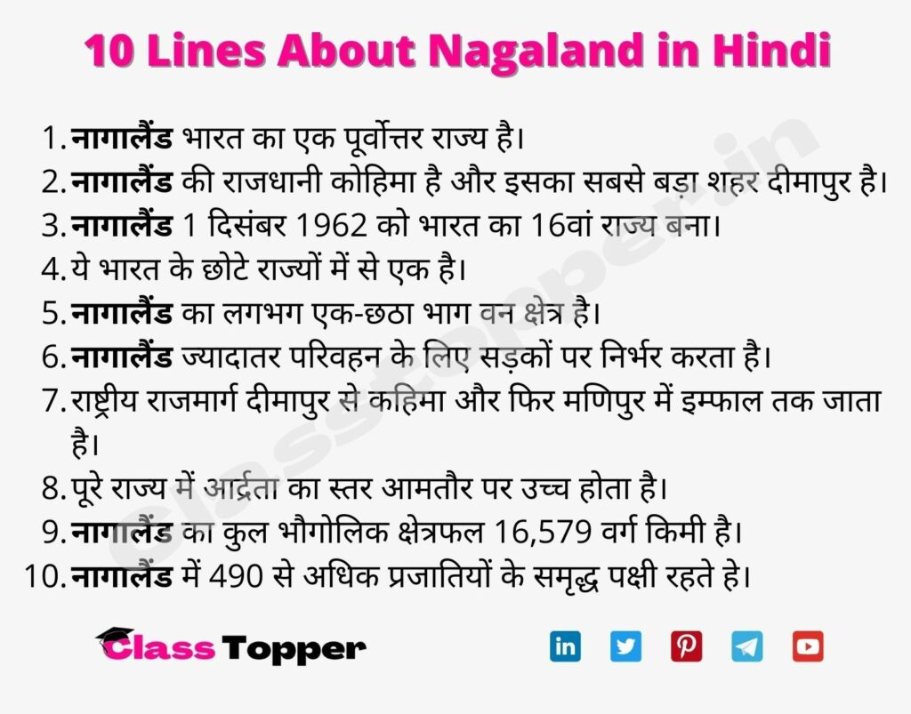 10 Lines About Nagaland in Hindi