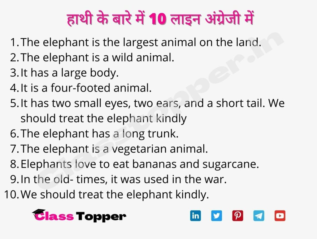 हाथी के बारे में 10 लाइन अंग्रेजी में