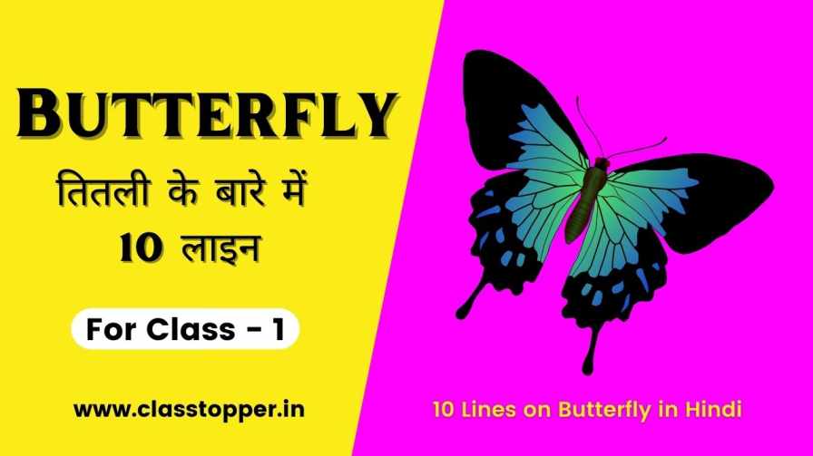 10 Lines on Butterfly for Class 1 Students – तितली के बारे में जानिए