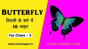 10 Lines on Butterfly for Class 3 Students – तितली के बारे में जानिए