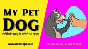 10 Lines on My Pet Dog in Hindi – मेरा पालतू कुत्ता पर 10 लाइन