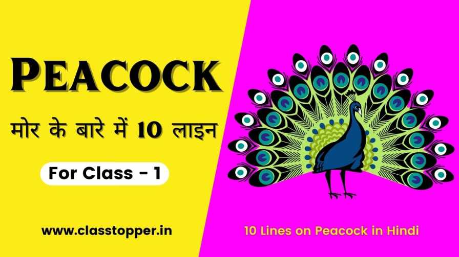 10 Lines on Peacock in Hindi for Class 1