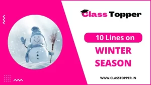 10 Lines on Winter Season in Hindi for Class 2 Students