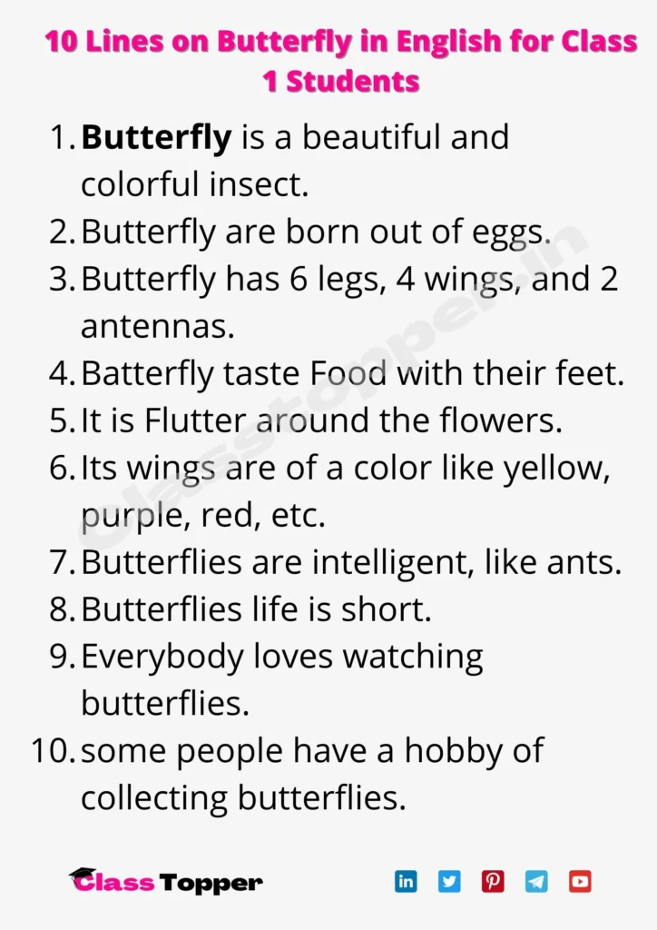 10 Lines on Butterfly in English for Class 1 Students