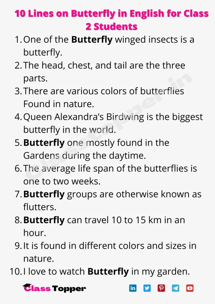 10 Lines on Butterfly in English for Class 2 Students