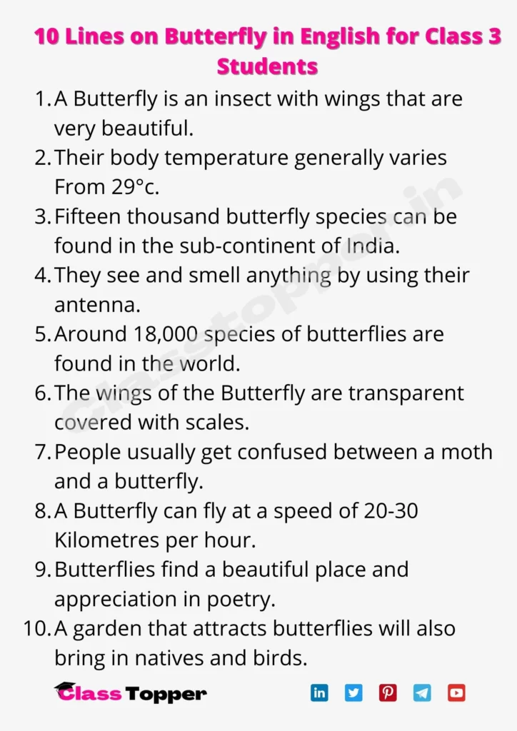 10 Lines on Butterfly in English for Class 3 Students