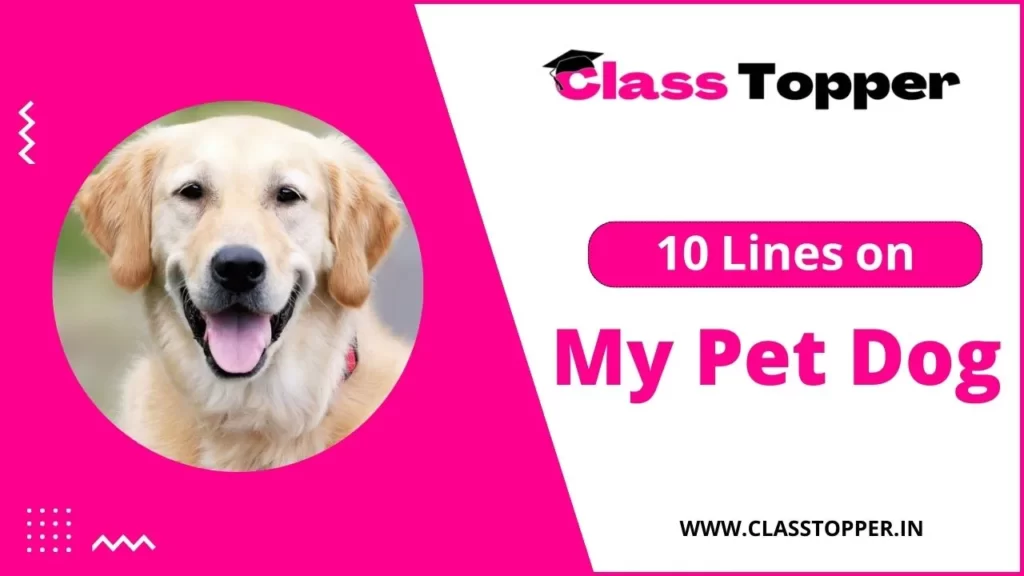 10 Lines on My Pet Dog in Hindi - मेरा पालतू कुत्ता पर 10 लाइन