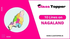 10 Lines About Nagaland in Hindi – नागालैंड के बारे में जानकारी