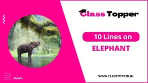 हाथी के बारे में 10 लाइन – Short Essay on Elephant