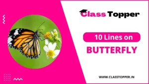 10 Lines on Butterfly for Class 2 Students – तितली के बारे में जानिए
