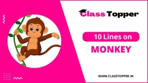 बंदर के बारे में 10 लाइन – Short Essay on Monkey in Hindi