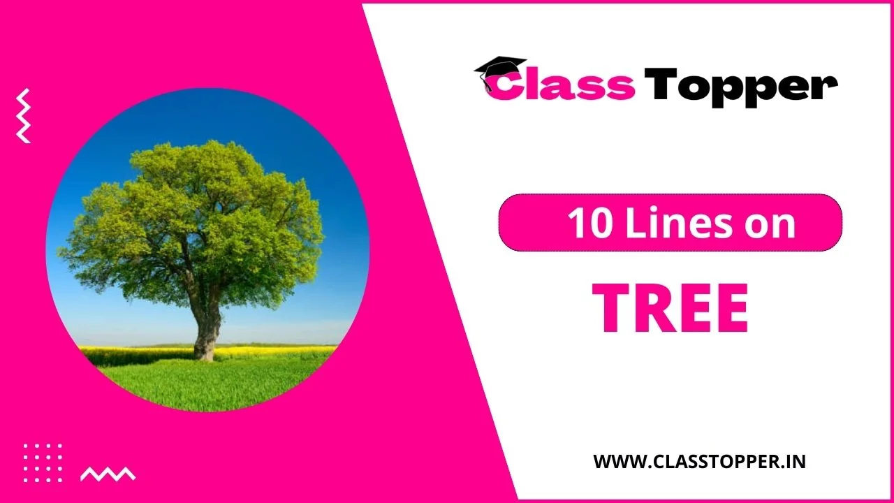 पेड़ पर 10 लाइन | Best 10 Lines on Tree in Hindi for Students