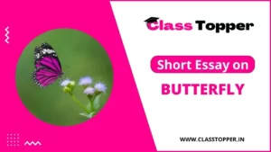 Short Essay on Butterfly | तितली पर 10 लाइन कक्षा 1, 2, 3, 4 छात्रों के लिए