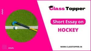 हॉकी के बारे में 10 लाइन – Short Essay on Hockey in Hindi