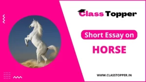 घोड़े के बारे में 10 लाइन – Short Essay on Horse in Hindi