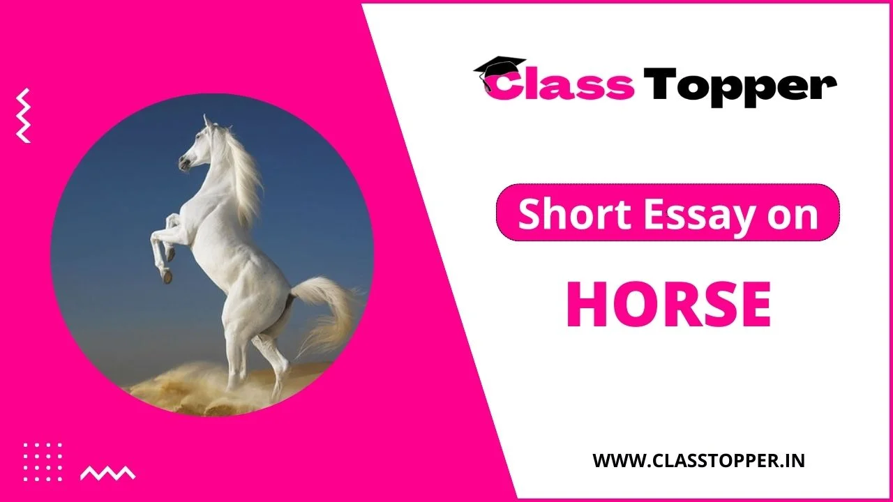 essay on horse in hindi for class 1