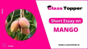 आम के बारे में 10 लाइन – Short Essay on Mango in Hindi