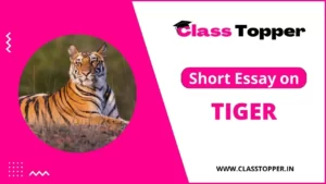 बाघ के बारे में 10 लाइन – Short Essay on Tiger in Hindi