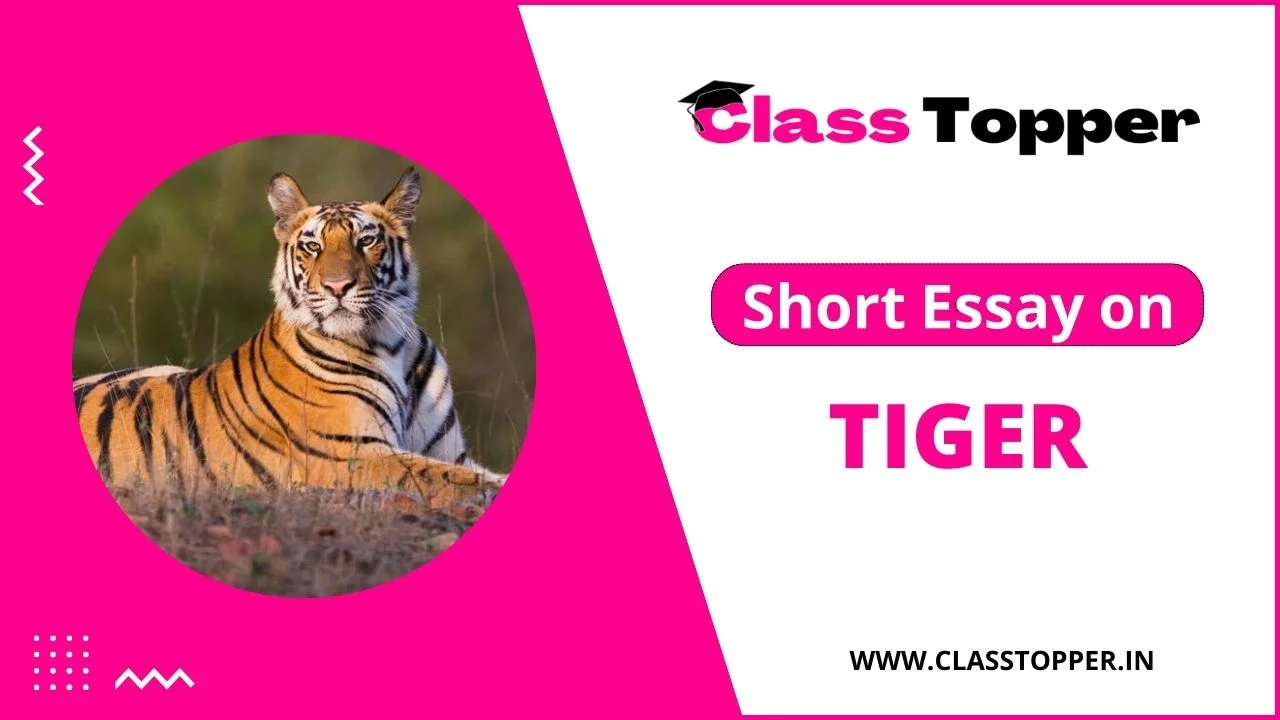 बाघ के बारे में 10 लाइन - Short Essay on Tiger in Hindi