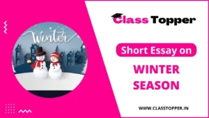 Short Essay on Winter season in Hindi for School Student