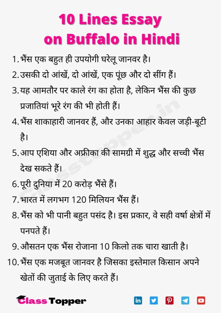 10 Lines Essay on Buffalo in Hindi