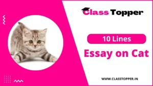 बिल्ली पर 10 लाइन | 10 Lines Essay on Cat in Hindi