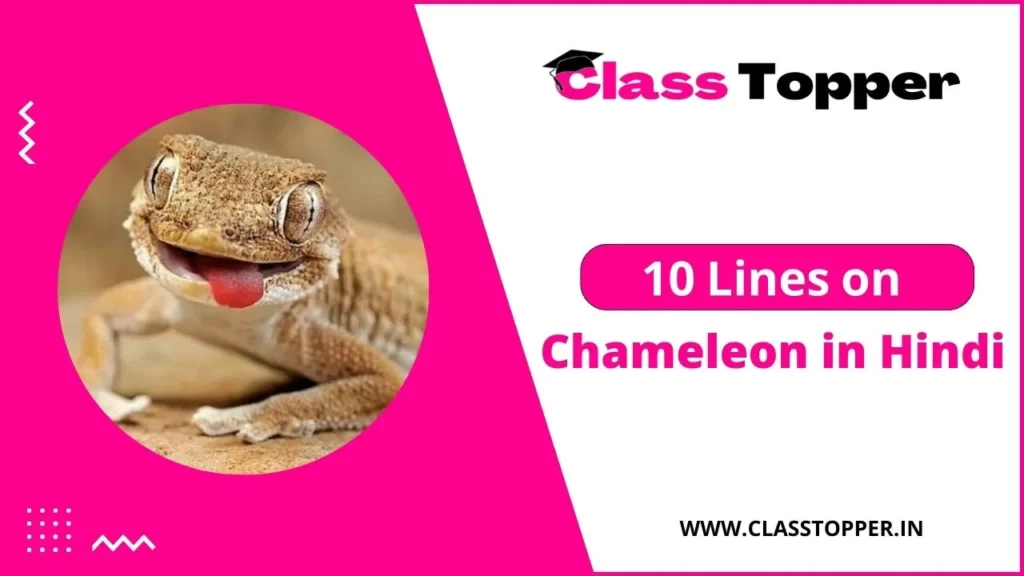 10 Lines Essay on Chameleon