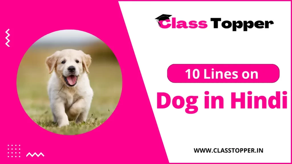 10 Lines Essay on Dog