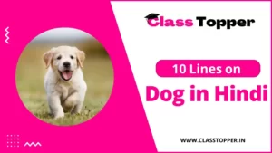 कुत्ते के बारे में 10 लाइन | 10 Lines Essay on Dog in Hindi