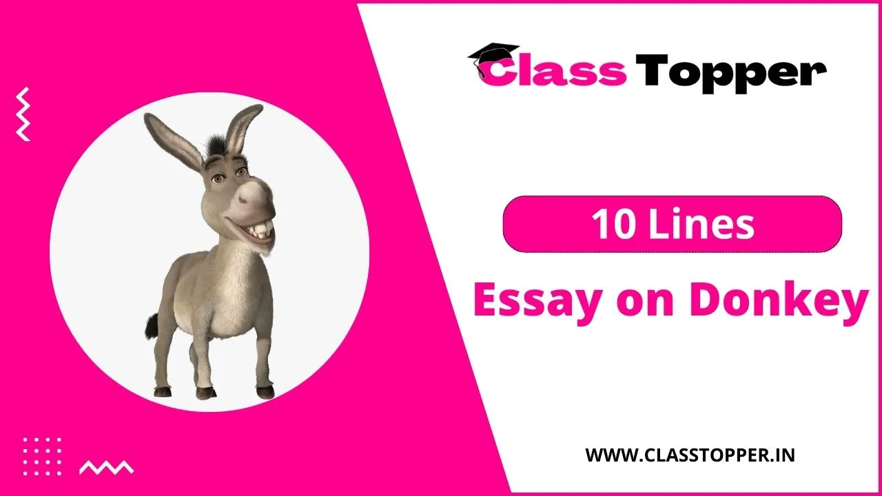 essay on donkey