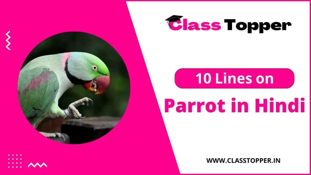 10 Lines Essay on Parrot