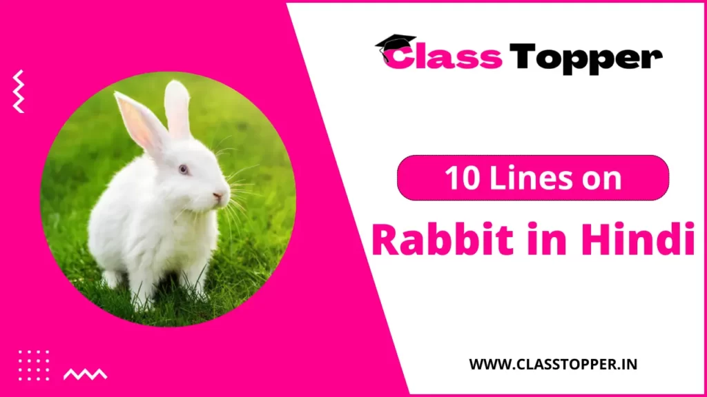10 Lines Essay on Rabbit