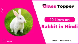खरगोश पर 10 लाइन | 10 Lines Essay on Rabbit in Hindi