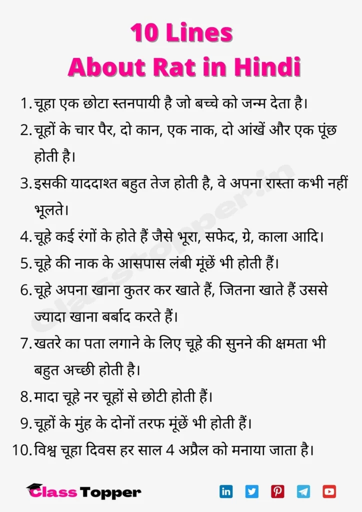 10 Lines about Rat in Hindi
