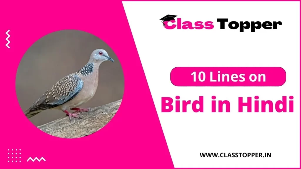 10 Lines on Bird