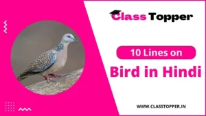 पक्षी के बारे में 10 लाइन | 10 Lines on Bird in Hindi