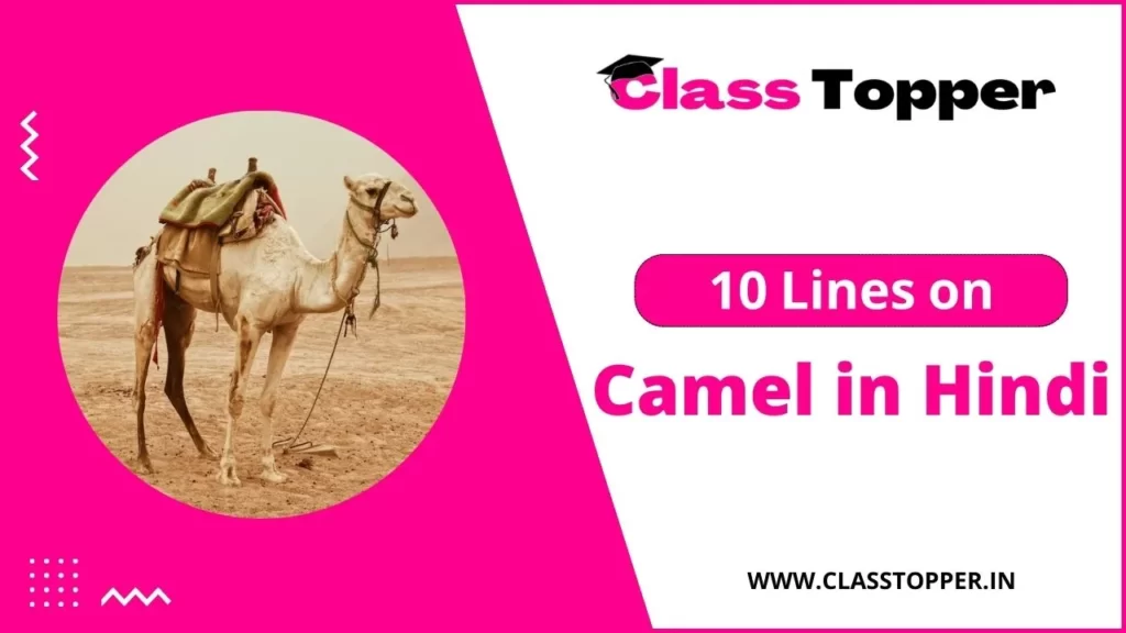 10 Lines on Camel 