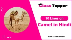 ऊंट के बारे में 10 लाइन | 10 Lines on Camel in Hindi