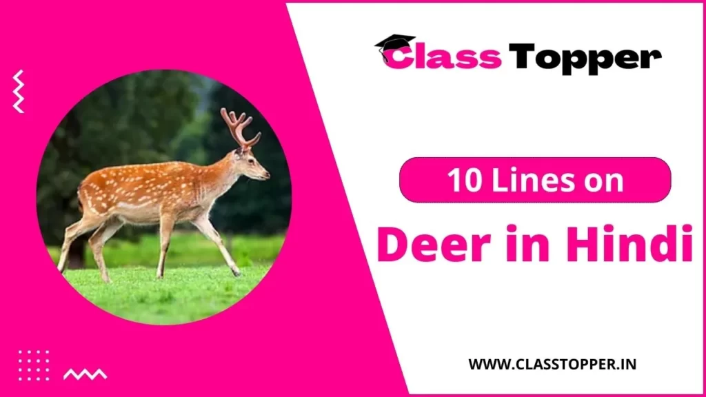हिरन के बारे में 10 लाइन | 10 Lines on Deer in Hindi