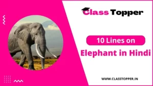 हाथी के बारे में 10 लाइन | 10 Lines on Elephant in Hindi