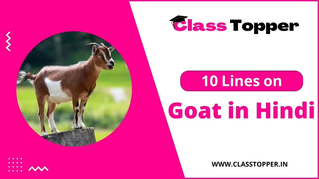 बकरी के बारे में 10 लाइन | 10 Lines on Goat in Hindi