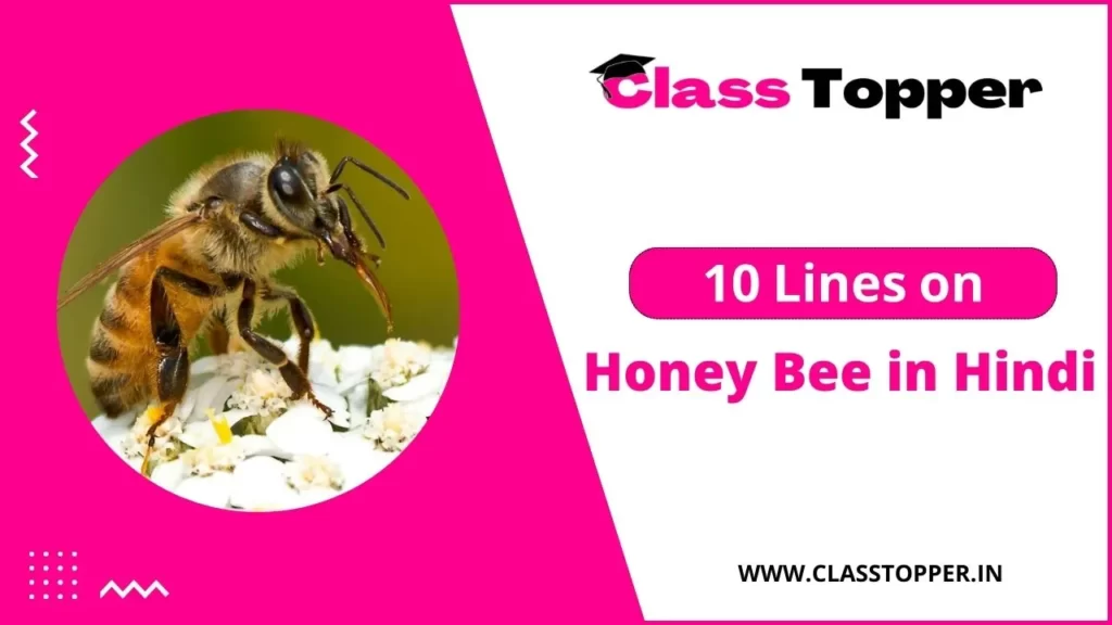 10 Lines on Honey Bee