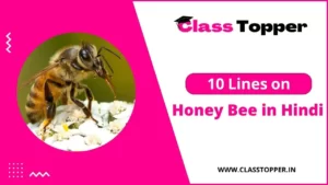 मधुमक्खी के बारे में 10 लाइन | 10 Lines on Honey Bee in Hindi