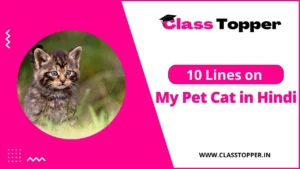 मेरी पालतू बिल्ली पर 10 लाइन | 10 Lines on My Pet Cat in Hindi