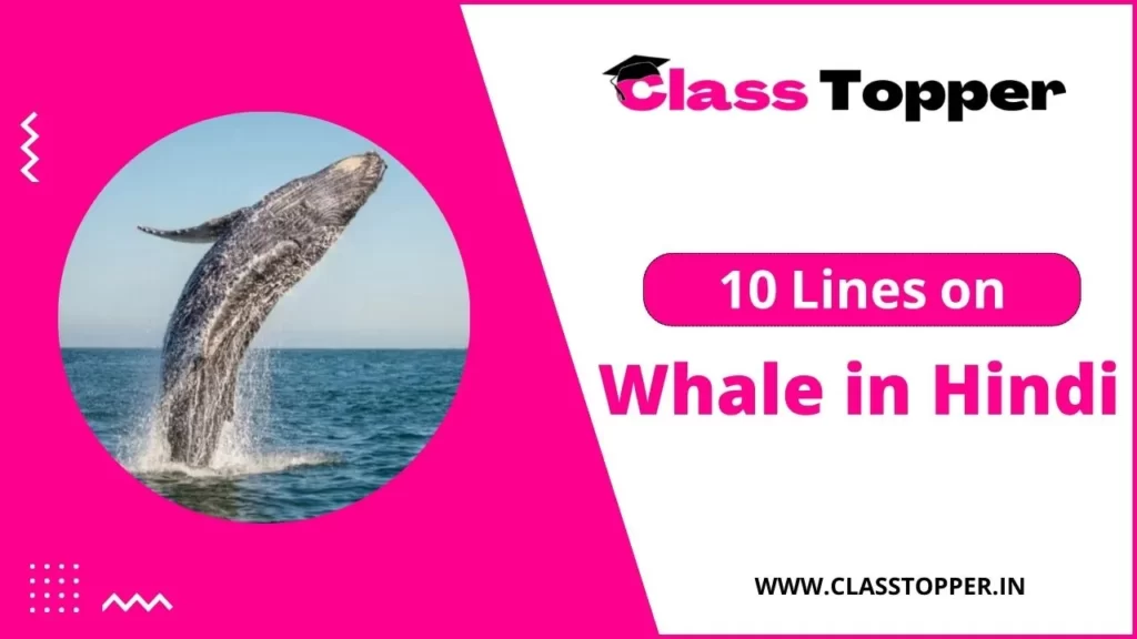 10 Lines on Whale